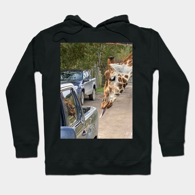 This Giraffe Thinks This Truck Might be Tasty Hoodie by Bucklandcrafts